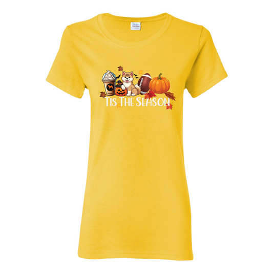 Tis The Season Akita Pumpkin Heavy Cotton Women's Short Sleeve T-Shirt - WagALotBowWow
