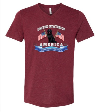America 250 Celebration Uisex Tshirt BC3415V