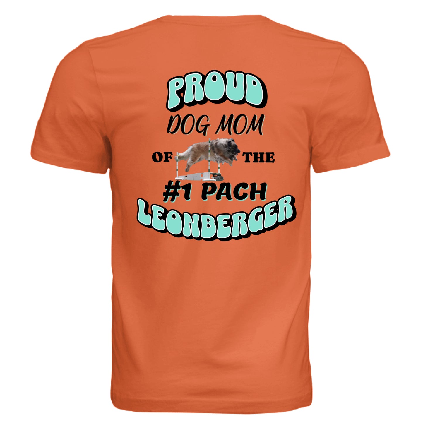 Solid Orange Triblend - BACK