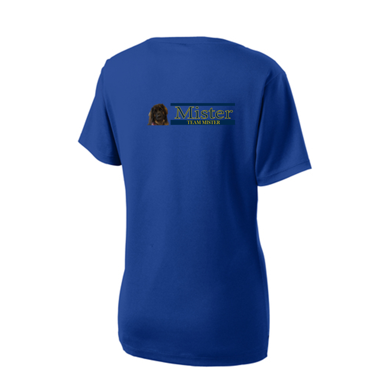 Orlando Shirt2 LST340 Sport-Tek® Ladies V