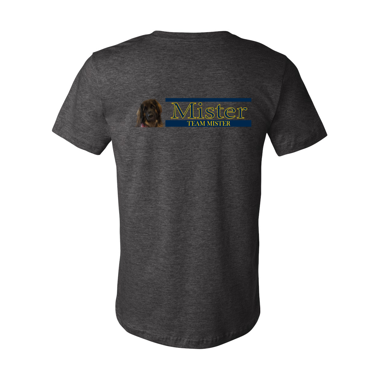 Orlando Shirt 1 Unisex SS Jersey Tee - WagALotBowWow