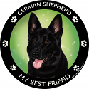 Best Friends Magnets Herding Dogs - WagALotBowWow