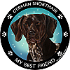 Best Friends Magnets Sporting Dogs - WagALotBowWow