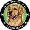 Best Friends Magnets Sporting Dogs - WagALotBowWow