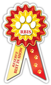 Small Prize Ribbon Magnets - WagALotBowWow