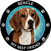 Best Friends Magnets Hound Dogs - WagALotBowWow