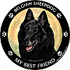 Best Friends Magnets Herding Dogs - WagALotBowWow