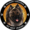 Best Friends Magnets Herding Dogs - WagALotBowWow