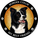 Best Friends Magnets Herding Dogs - WagALotBowWow