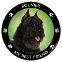 Best Friends Magnets Herding Dogs - WagALotBowWow