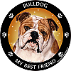 Best Friends Magnets Non-Sporting Dogs - WagALotBowWow