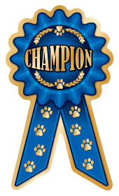 Small Prize Ribbon Magnets - WagALotBowWow
