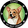 Best Friends Magnets Herding Dogs - WagALotBowWow