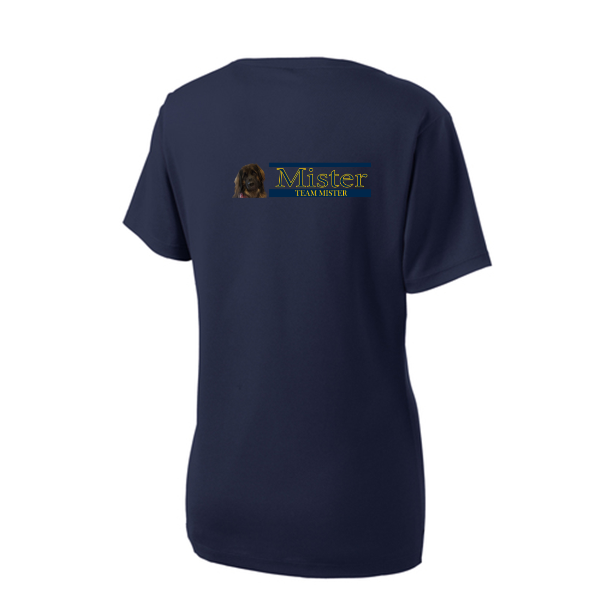 Orlando Shirt2 LST340 Sport-Tek® Ladies V