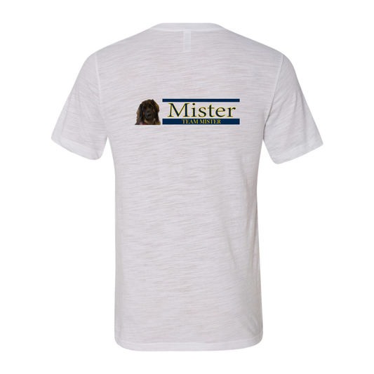 Orlando Shirt1 V-Neck Jersey Tee - WagALotBowWow