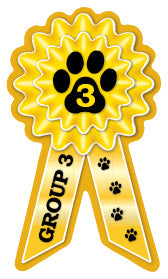 Small Prize Ribbon Magnets - WagALotBowWow