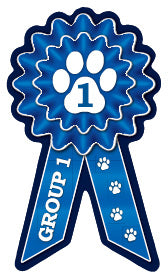 Small Prize Ribbon Magnets - WagALotBowWow