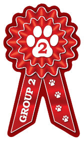 Small Prize Ribbon Magnets - WagALotBowWow