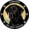 Best Friends Magnets Sporting Dogs - WagALotBowWow