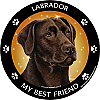 Best Friends Magnets Sporting Dogs - WagALotBowWow