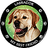 Best Friends Magnets Sporting Dogs - WagALotBowWow