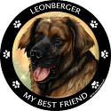 Best Friends Magnets Working Dogs - WagALotBowWow