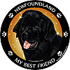Best Friends Magnets Working Dogs - WagALotBowWow