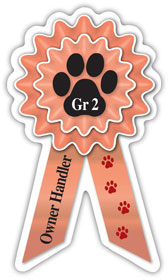 Small Prize Ribbon Magnets - WagALotBowWow
