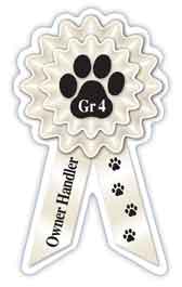 Small Prize Ribbon Magnets - WagALotBowWow