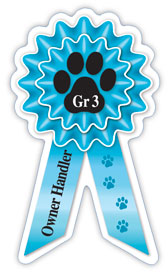 Small Prize Ribbon Magnets - WagALotBowWow