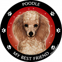 Best Friends Magnets Non-Sporting Dogs - WagALotBowWow