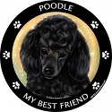 Best Friends Magnets Non-Sporting Dogs - WagALotBowWow