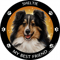 Best Friends Magnets Herding Dogs - WagALotBowWow