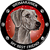 Best Friends Magnets Sporting Dogs - WagALotBowWow