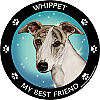 Best Friends Magnets Hound Dogs - WagALotBowWow