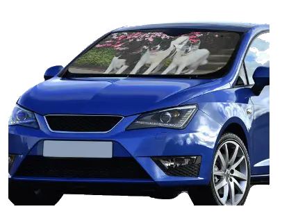 Custom Car Shade WagALotBowWow