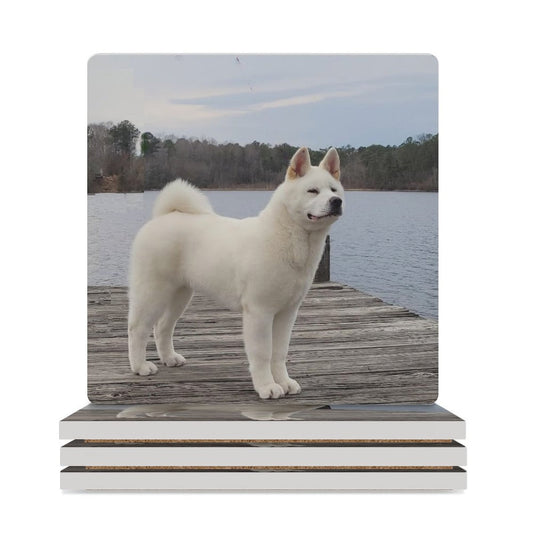 Ceramic Coasters