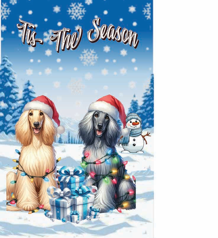 ’Tis The Season winter afghan garden flag 12x18 in yard