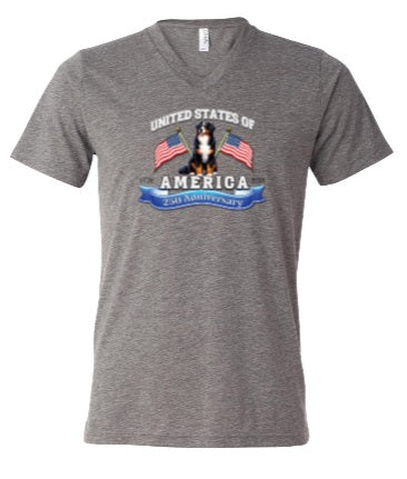 America 250 Celebration Uisex Tshirt BC3415V