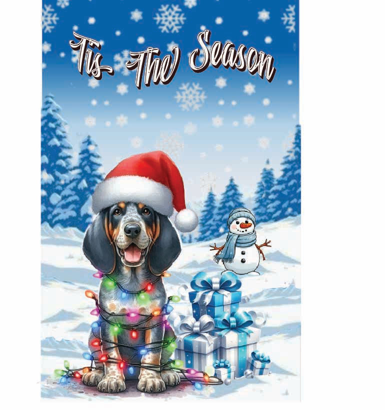 ’Tis The Season winter BlueTick garden flag 12x18 in yard
