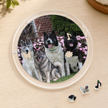 Acrylic Puzzle Suncatcher