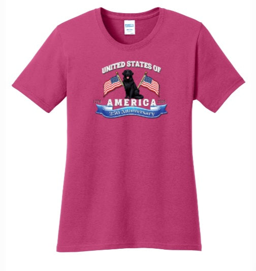 America 250 Celebration Women Tshirt LPC54