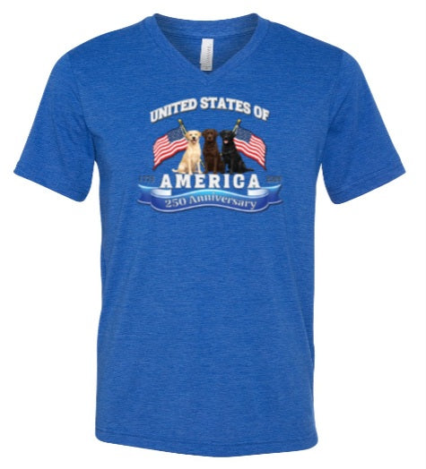America 250 Celebration Uisex Tshirt BC3415V