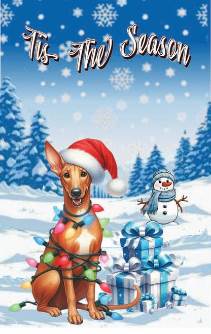 ’Tis The Season winter Pharaoh garden flag 12x18 in yard