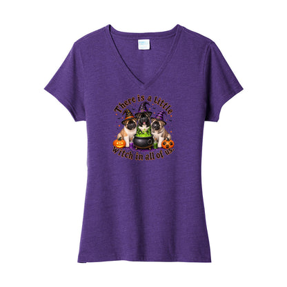 Little Witch in all of us LPC455V Port & Company ® Ladies Fan Favorite ™ Blend V-Neck Tee