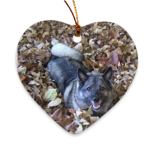 Custom Porcelain Ornaments - WagALotBowWow