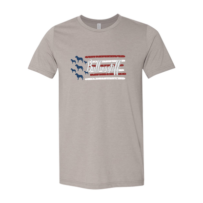 Test Flag Unisex Short Sleeve Jersey Tee