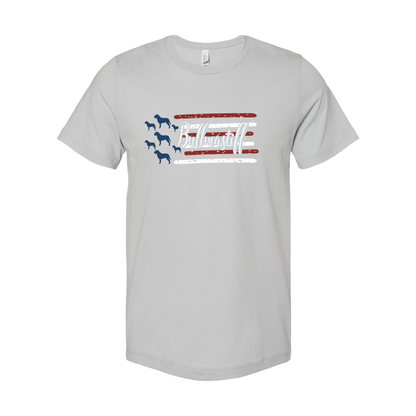 Test Flag Unisex Short Sleeve Jersey Tee