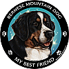 Best Friends Magnets Working Dogs