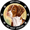 Best Friends Magnets Sporting Dogs